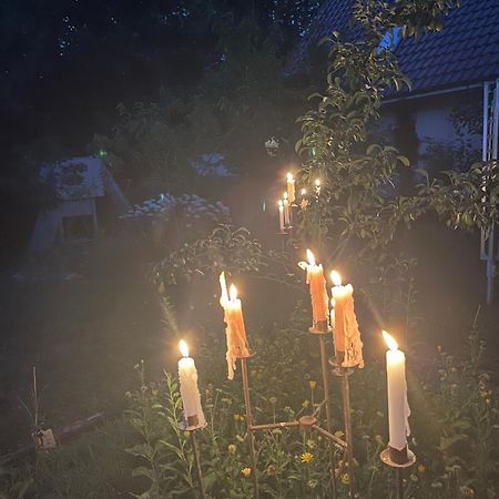 דירות Eggersdorf  Waldhaus Bei Berlin מראה חיצוני תמונה